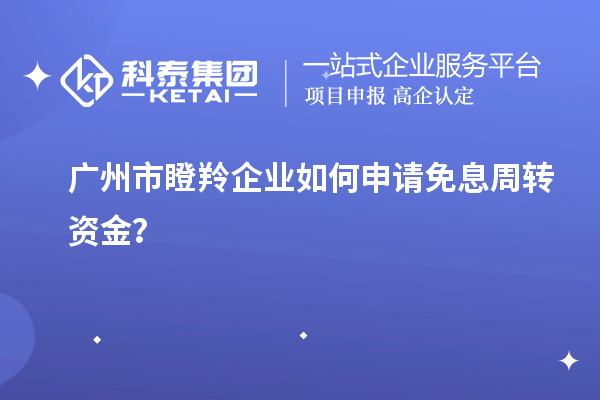 廣州市瞪羚企業(yè)如何申請免息周轉(zhuǎn)資金？