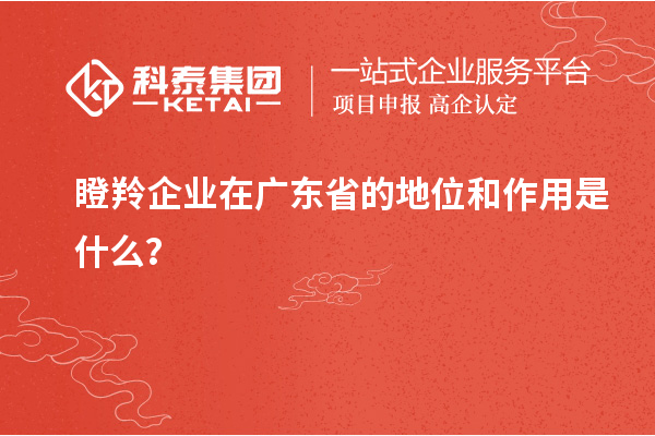 瞪羚企業(yè)在廣東省的地位和作用是什么？