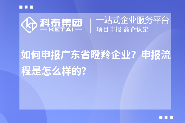 如何申報(bào)廣東省瞪羚企業(yè)？申報(bào)流程是怎么樣的？