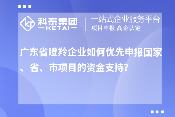 廣東省瞪羚企業(yè)如何優(yōu)先申報國家、省、市項目的資金支持？