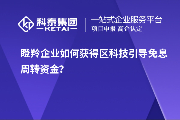 瞪羚企業(yè)如何獲得區(qū)科技引導(dǎo)免息周轉(zhuǎn)資金？