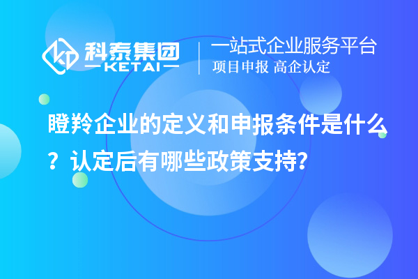 瞪羚企業(yè)的定義和申報條件是什么？認(rèn)定后有哪些政策支持？
