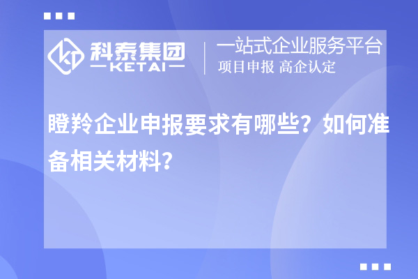 瞪羚企業(yè)申報要求有哪些？如何準(zhǔn)備相關(guān)材料？