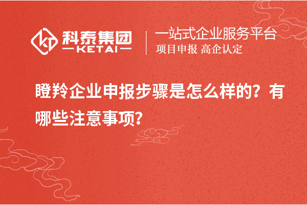 瞪羚企業(yè)申報步驟是怎么樣的？有哪些注意事項？