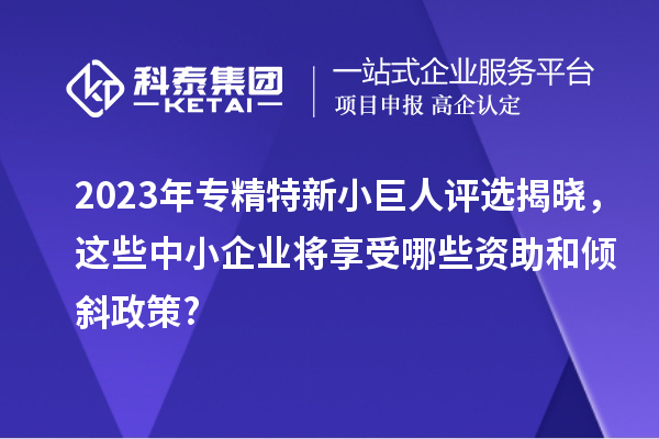 2023年專精特新小巨人評選揭曉，這些中小企業(yè)將享受哪些資助和傾斜政策?