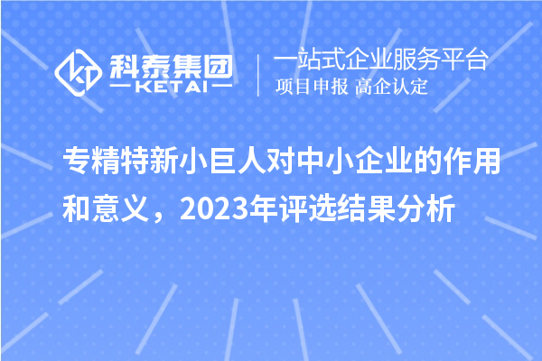 專精特新小巨人對(duì)中小企業(yè)的作用和意義，2023年評(píng)選結(jié)果分析