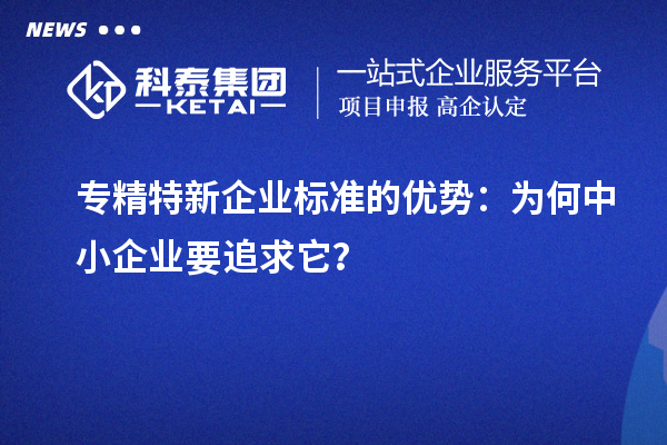 專精特新企業(yè)標準的優(yōu)勢：為何中小企業(yè)要追求它？