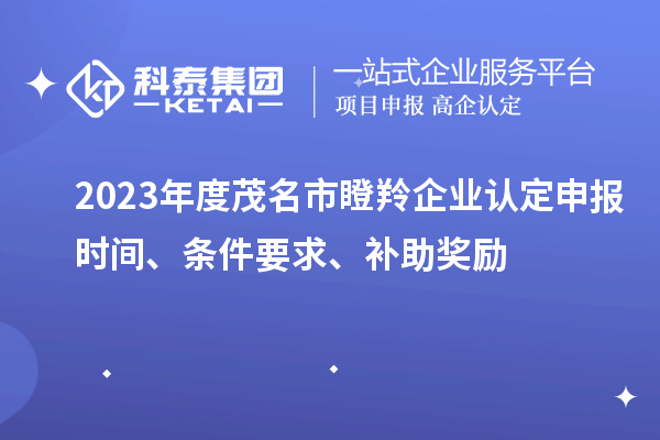2023年度茂名市瞪羚企業(yè)認(rèn)定申報(bào)時(shí)間、條件要求、補(bǔ)助獎(jiǎng)勵(lì)
