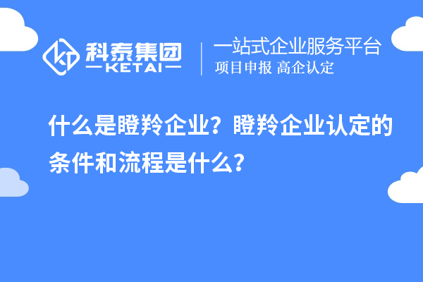 什么是瞪羚企業(yè)？瞪羚企業(yè)認(rèn)定的條件和流程是什么？