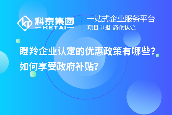 瞪羚企業(yè)認(rèn)定的優(yōu)惠政策有哪些？如何享受政府補(bǔ)貼？