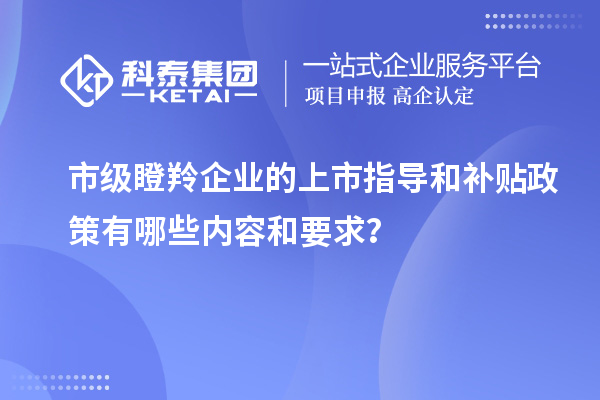 市級瞪羚企業(yè)的上市指導(dǎo)和補(bǔ)貼政策有哪些內(nèi)容和要求？