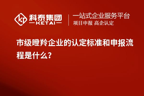 市級瞪羚企業(yè)的認(rèn)定標(biāo)準(zhǔn)和申報(bào)流程是什么？
