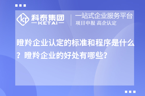 瞪羚企業(yè)認(rèn)定的標(biāo)準(zhǔn)和程序是什么？瞪羚企業(yè)的好處有哪些？