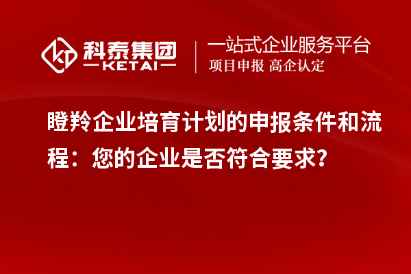 瞪羚企業(yè)培育計(jì)劃的申報(bào)條件和流程：您的企業(yè)是否符合要求？