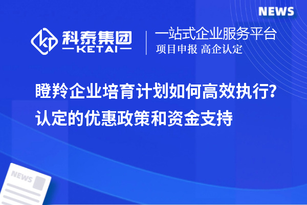 瞪羚企業(yè)培育計(jì)劃如何高效執(zhí)行？認(rèn)定的優(yōu)惠政策和資金支持