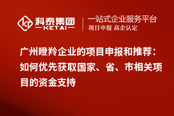 廣州瞪羚企業(yè)的項(xiàng)目申報(bào)和推薦：如何優(yōu)先獲取國(guó)家、省、市相關(guān)項(xiàng)目的資金支持