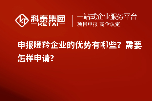申報(bào)瞪羚企業(yè)的優(yōu)勢(shì)有哪些？需要怎樣申請(qǐng)？
