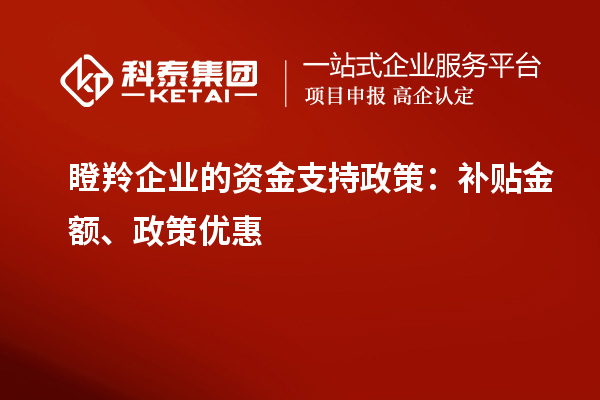 瞪羚企業(yè)的資金支持政策：補(bǔ)貼金額、政策優(yōu)惠