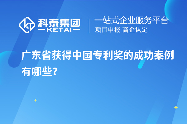 廣東省獲得中國(guó)專利獎(jiǎng)的成功案例有哪些？