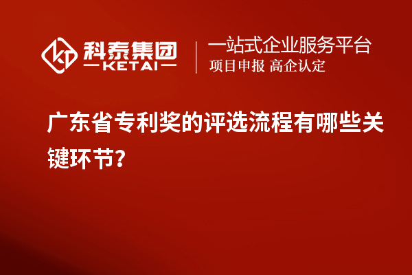 廣東省專利獎的評選流程有哪些關鍵環(huán)節(jié)？