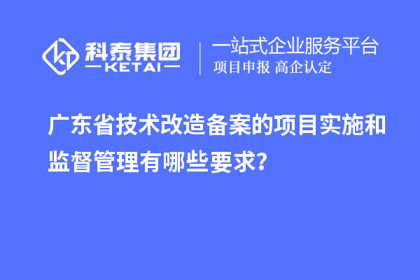 廣東省技術(shù)改造備案的項(xiàng)目實(shí)施和監(jiān)督管理有哪些要求？
