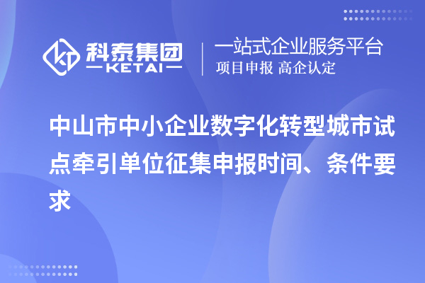 中山市中小企業(yè)數(shù)字化轉(zhuǎn)型城市試點(diǎn)牽引單位征集申報(bào)時(shí)間、條件要求