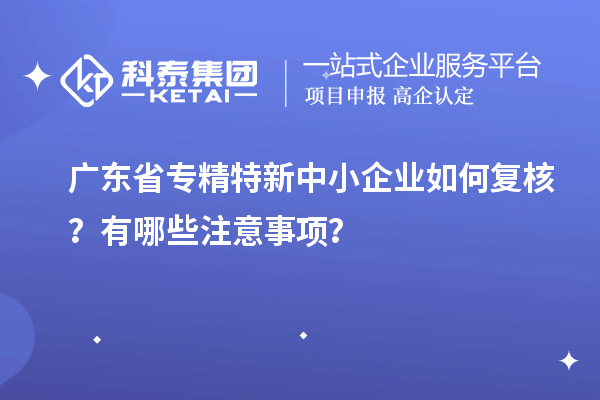 廣東省專精特新中小企業(yè)如何復(fù)核？有哪些注意事項(xiàng)？