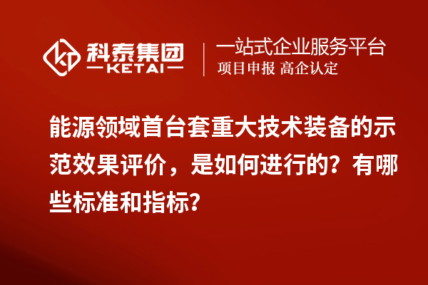 能源領域首臺套重大技術裝備的示范效果評價，是如何進行的？有哪些標準和指標？