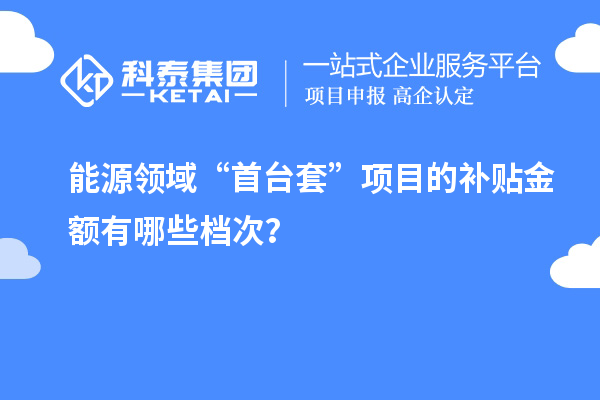 能源領域“首臺套”項目的補貼金額有哪些檔次？