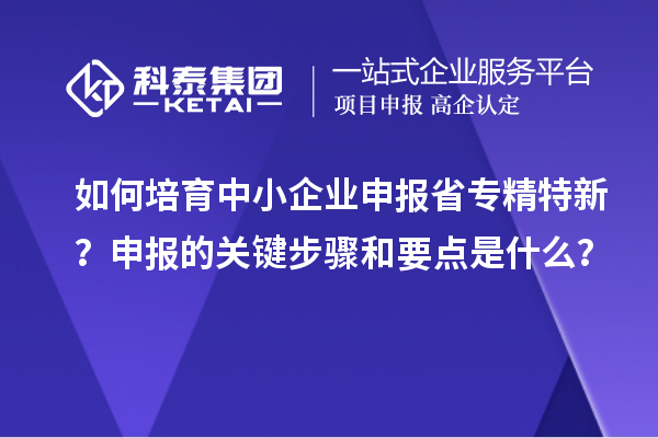 如何培育中小企業(yè)申報省專精特新？申報的關(guān)鍵步驟和要點是什么？
