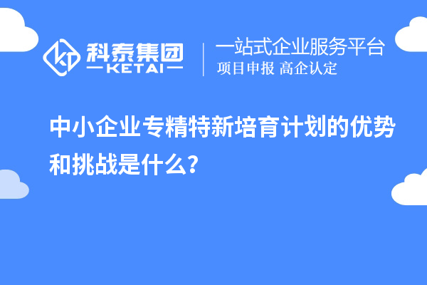 中小企業(yè)專精特新培育計(jì)劃的優(yōu)勢(shì)和挑戰(zhàn)是什么？