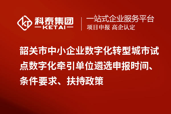 韶關(guān)市中小企業(yè)數(shù)字化轉(zhuǎn)型城市試點(diǎn)數(shù)字化牽引單位遴選申報(bào)時(shí)間、條件要求、扶持政策