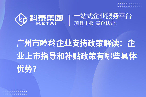 廣州市瞪羚企業(yè)支持政策解讀：企業(yè)上市指導(dǎo)和補(bǔ)貼政策有哪些具體優(yōu)勢(shì)？