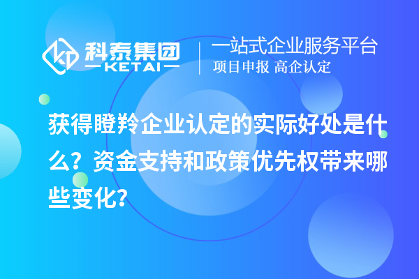 獲得瞪羚企業(yè)認(rèn)定的實(shí)際好處是什么？資金支持和政策優(yōu)先權(quán)帶來(lái)哪些變化？