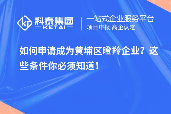 如何申請(qǐng)成為黃埔區(qū)瞪羚企業(yè)？這些條件你必須知道！