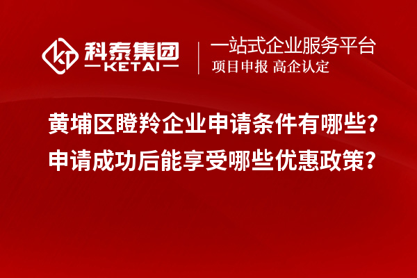 黃埔區(qū)瞪羚企業(yè)申請(qǐng)條件有哪些？申請(qǐng)成功后能享受哪些優(yōu)惠政策？