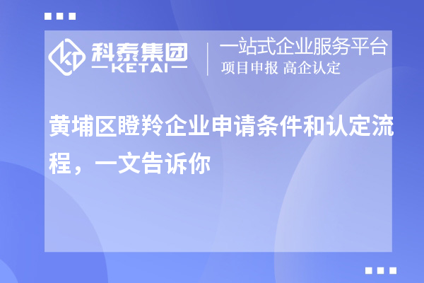 黃埔區(qū)瞪羚企業(yè)申請(qǐng)條件和認(rèn)定流程，一文告訴你