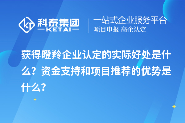獲得瞪羚企業(yè)認(rèn)定的實(shí)際好處是什么？資金支持和項(xiàng)目推薦的優(yōu)勢(shì)是什么？