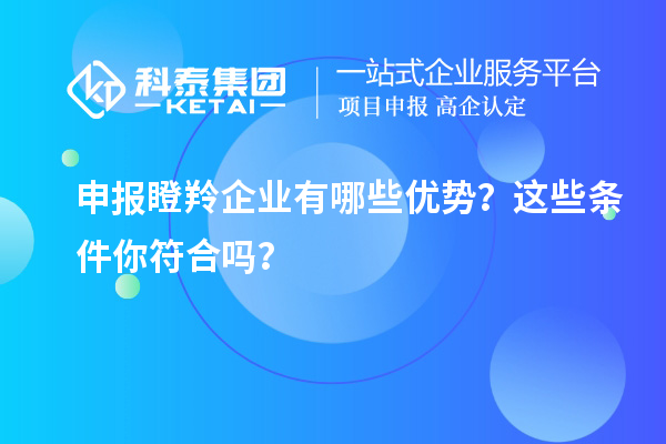 申報(bào)瞪羚企業(yè)有哪些優(yōu)勢(shì)？這些條件你符合嗎？