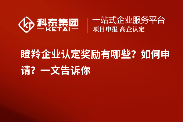 瞪羚企業(yè)認(rèn)定獎(jiǎng)勵(lì)有哪些？如何申請(qǐng)？一文告訴你