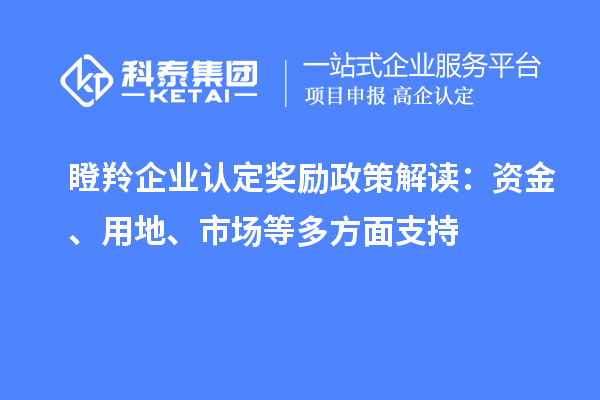 瞪羚企業(yè)認(rèn)定獎(jiǎng)勵(lì)政策解讀：資金、用地、市場(chǎng)等多方面支持