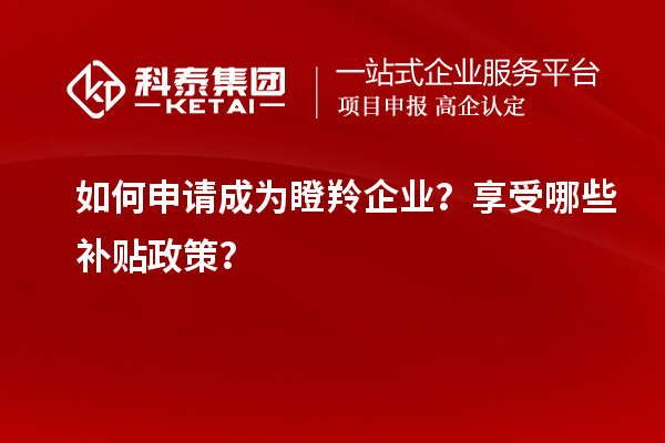 如何申請成為瞪羚企業(yè)？享受哪些補貼政策？