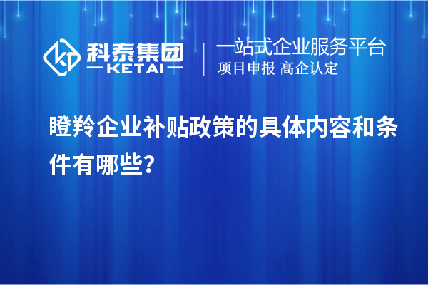 瞪羚企業(yè)補貼政策的具體內容和條件有哪些？