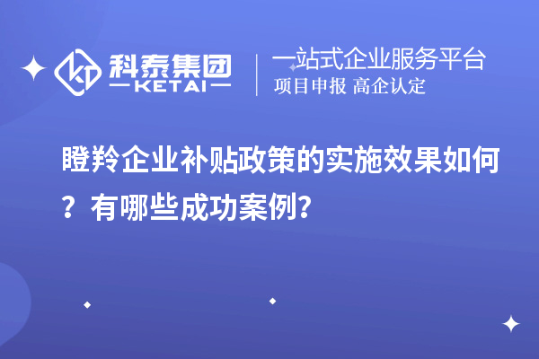 瞪羚企業(yè)補貼政策的實施效果如何？有哪些成功案例？