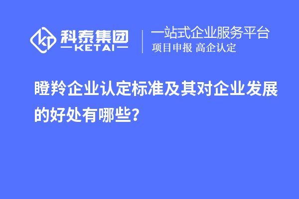 瞪羚企業(yè)認定標準及其對企業(yè)發(fā)展的好處有哪些？