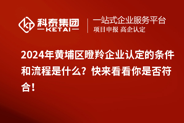 2024年黃埔區(qū)瞪羚企業(yè)認定的條件和流程是什么？快來看看你是否符合！
