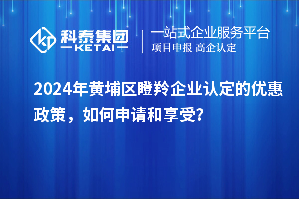 2024年黃埔區(qū)瞪羚企業(yè)認定的優(yōu)惠政策，如何申請和享受？