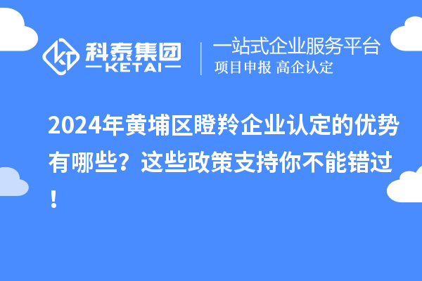 2024年黃埔區(qū)瞪羚企業(yè)認定的優(yōu)勢有哪些？這些政策支持你不能錯過！
