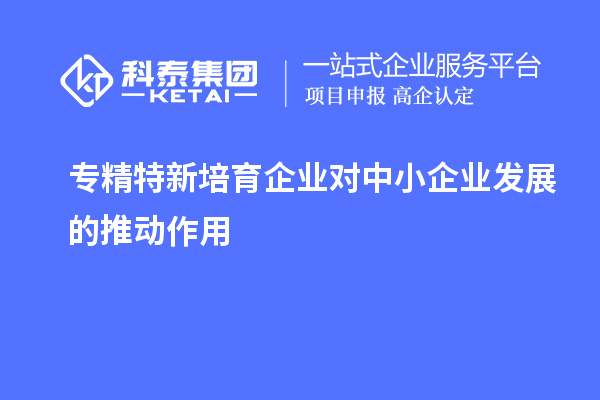 專(zhuān)精特新培育企業(yè)對(duì)中小企業(yè)發(fā)展的推動(dòng)作用