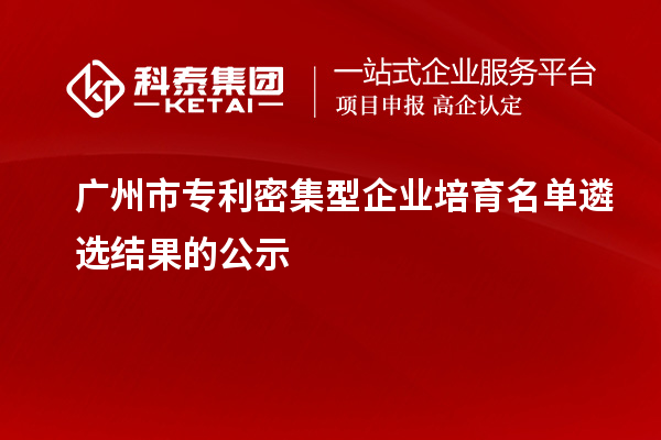 廣州市專(zhuān)利密集型企業(yè)培育名單遴選結(jié)果的公示